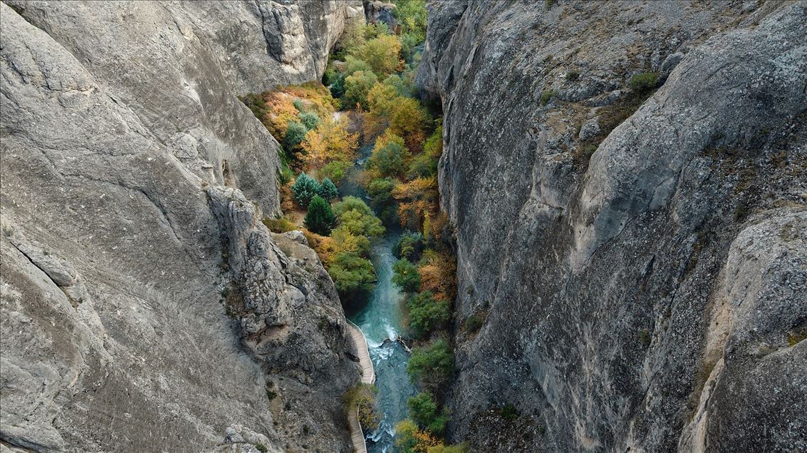 Autumn in Tohma Canyon 