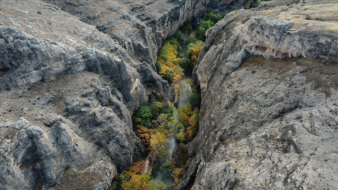 Autumn in Tohma Canyon 