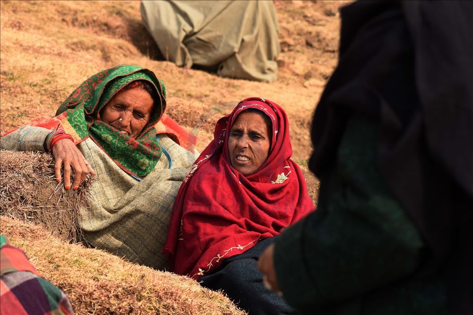 Nomads in Kashmir