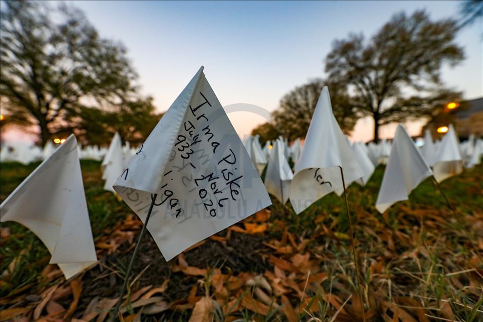 Art installation of white flags in Washington for the staggering loss of Covid-19