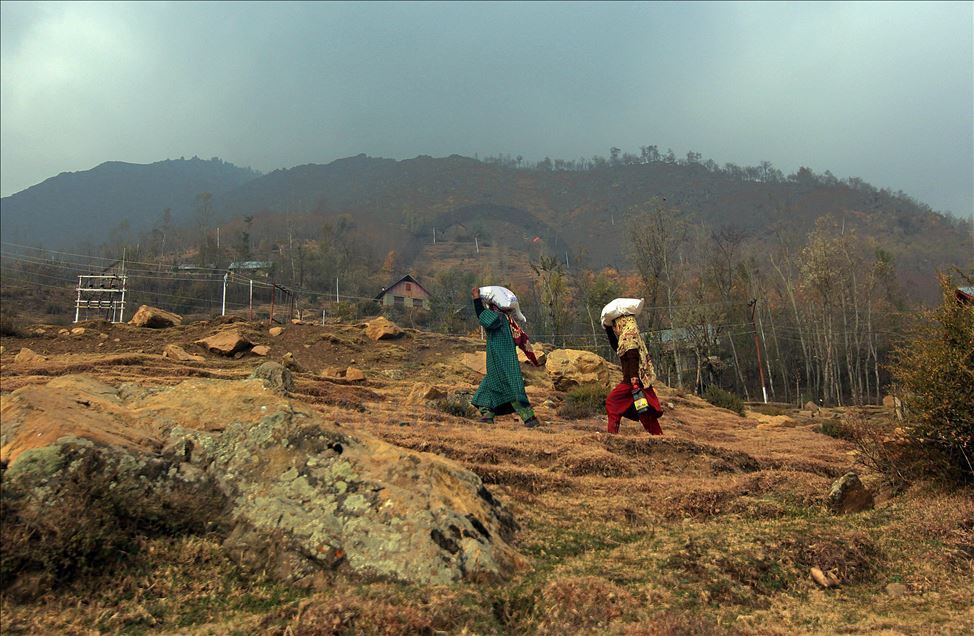 Nomads in Kashmir