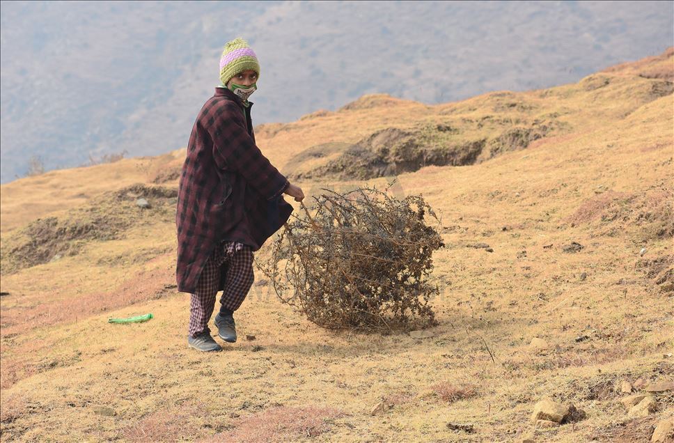 Nomads in Kashmir