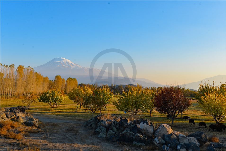 Autumn season on foothills of Mount Agri in Turkey's Igdir