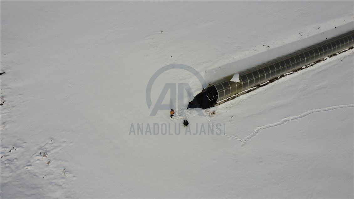Ege'deki turizm merkezlerinde sokağa çıkma kısıtlamasının sona ermesiyle hareketlilik başladı