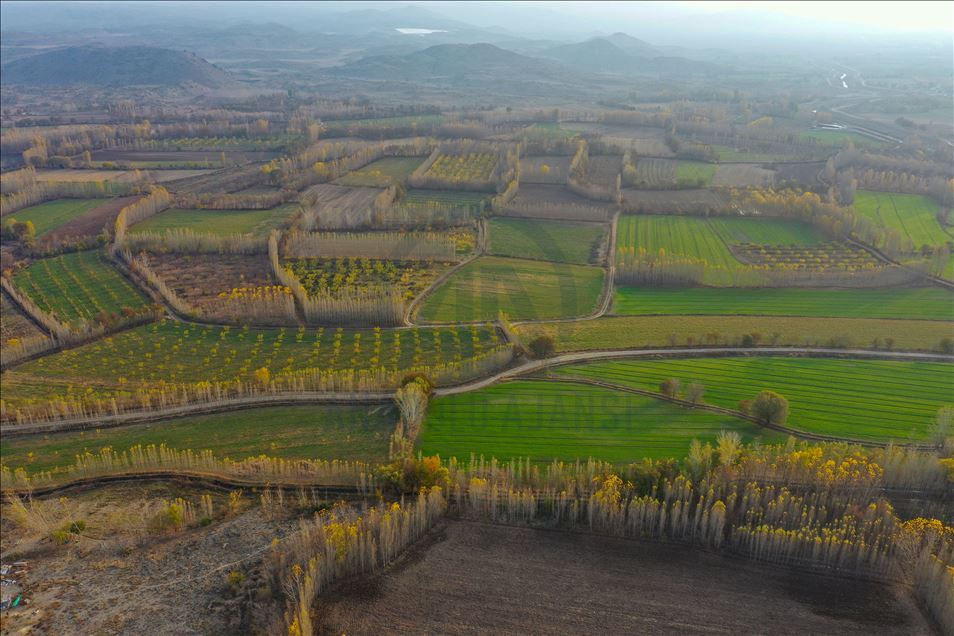 Autumn season on foothills of Mount Agri in Turkey's Igdir
