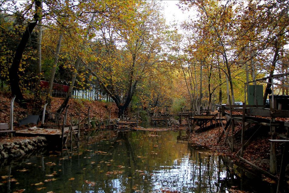 Осенний карнавал красок: водопад Донгель на юге Турции