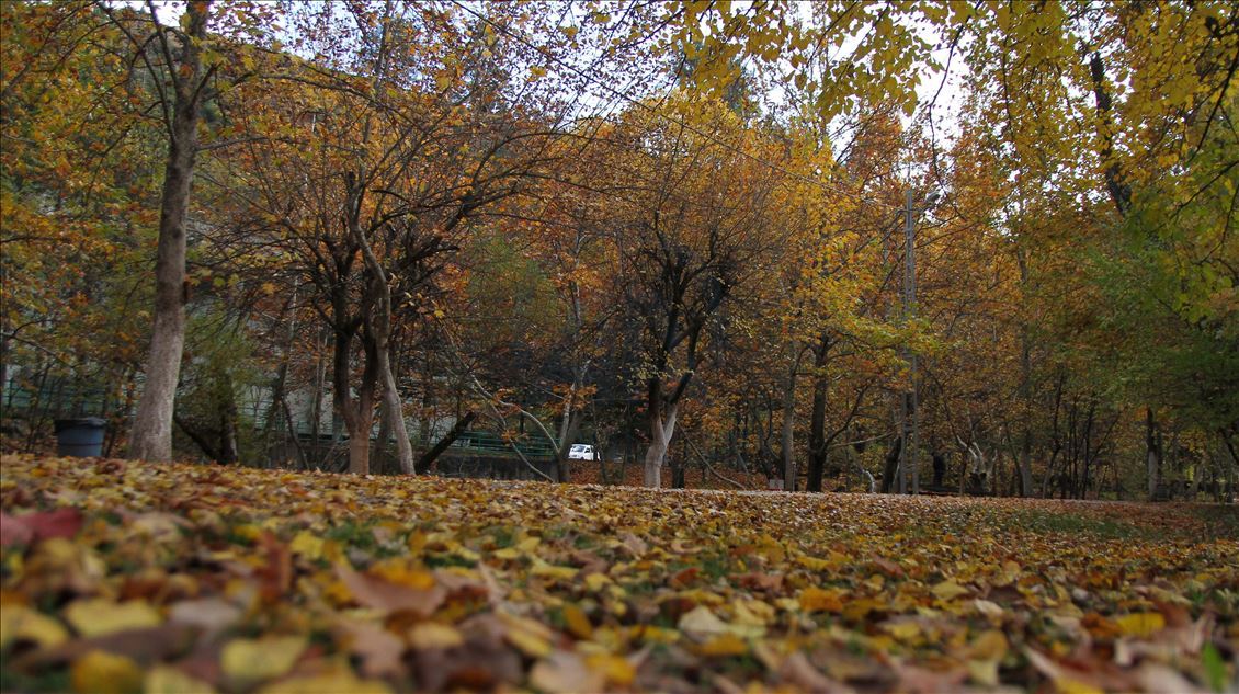 Autumn in Kahramanmaras