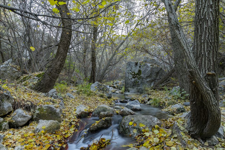 Autumn at Cyprus village canyon in Ankara