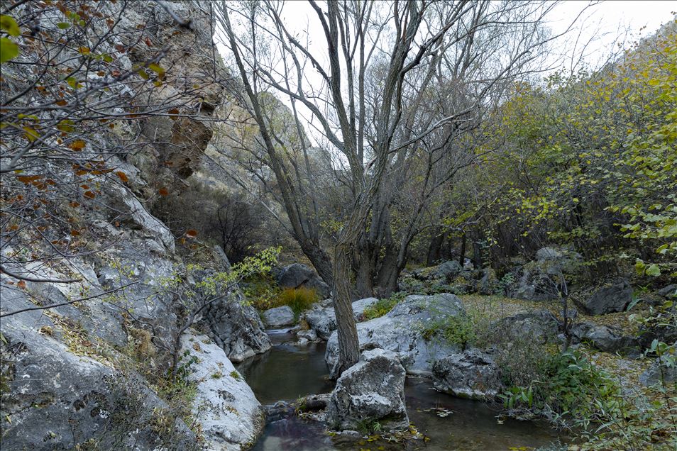 Autumn at Cyprus village canyon in Ankara