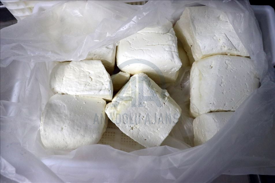 Hatay künefesinde kullanılan tuzsuz peynir Orta Doğu ülkelerine ihraç ediliyor