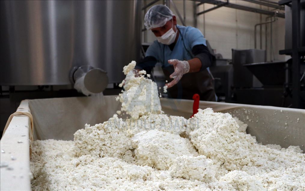 Hatay künefesinde kullanılan tuzsuz peynir Orta Doğu ülkelerine ihraç ediliyor