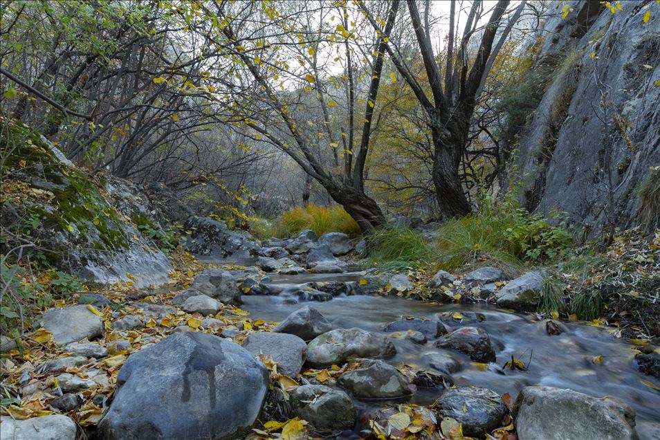 Autumn at Cyprus village canyon in Ankara
