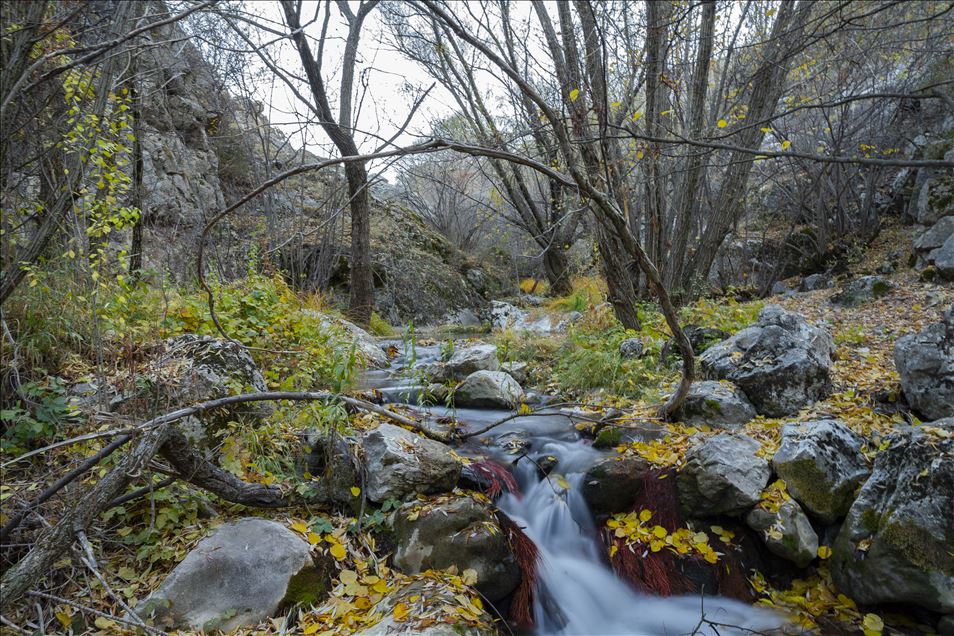 Autumn at Cyprus village canyon in Ankara