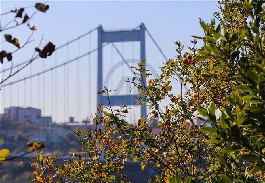 İstanbul'da sonbahar