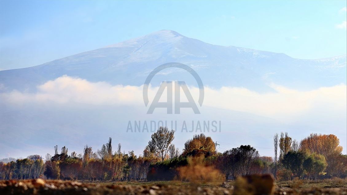وەرزی کۆکردنەوەی گێلاس لە پارێزگای ئافیۆن