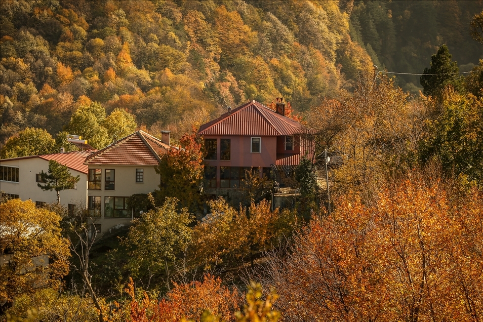 Красота осени в «деревне Чалыкушу» на склонах Улудага