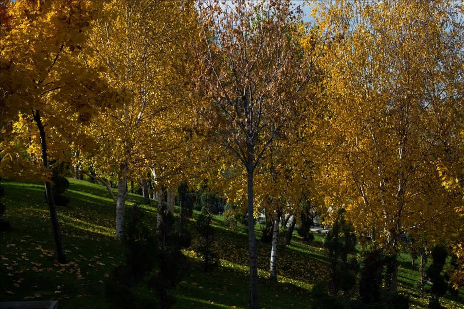 Autumn in Turkey's Ankara