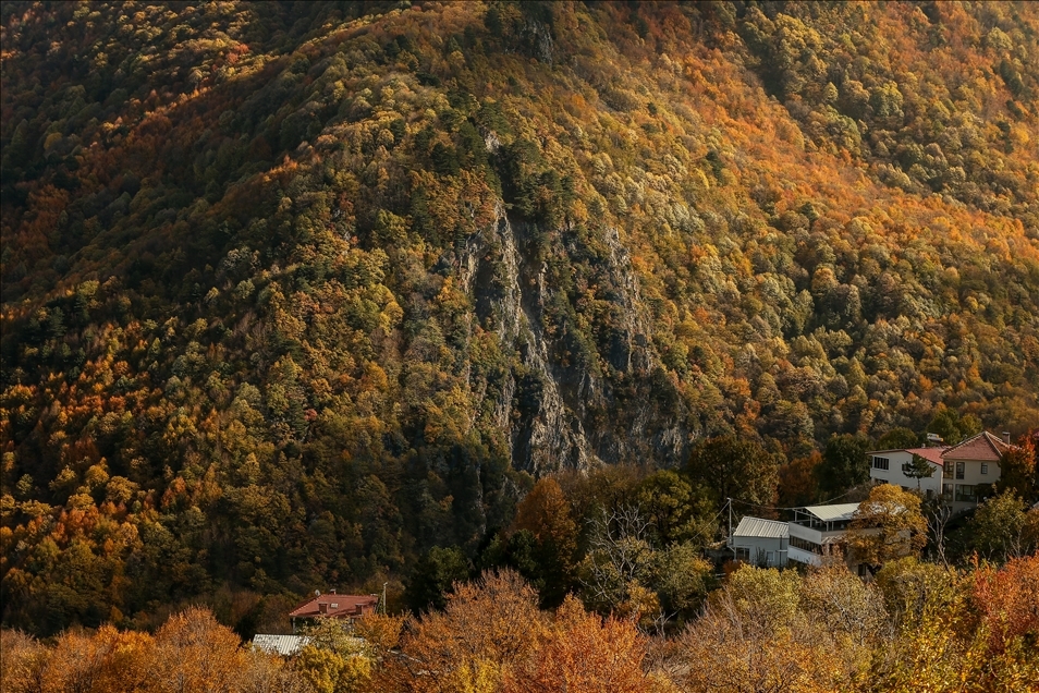 Uludağ'ın eteklerindeki "Çalıkuşu'nun köyünde" sonbahar güzelliği