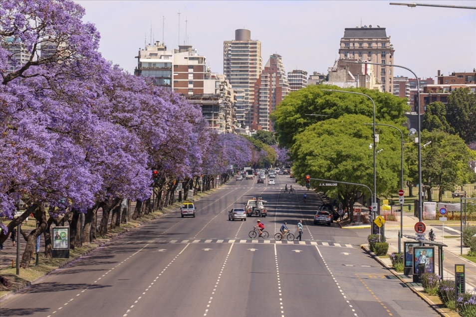 Pemandangan kota Buenos Aires dipenuhi pohon Jacaranda