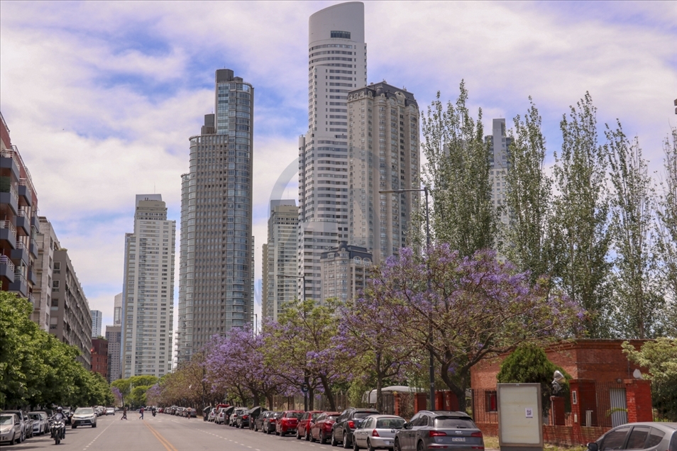 Pemandangan kota Buenos Aires dipenuhi pohon Jacaranda