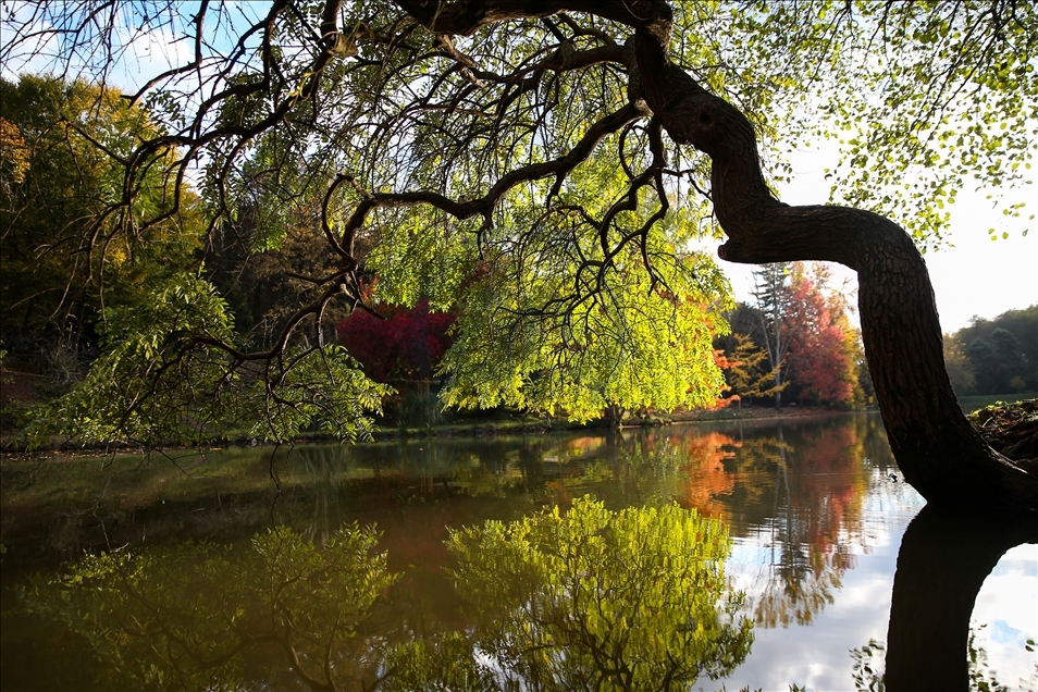 Ataturk Arboretum with fall foliage in Istanbul