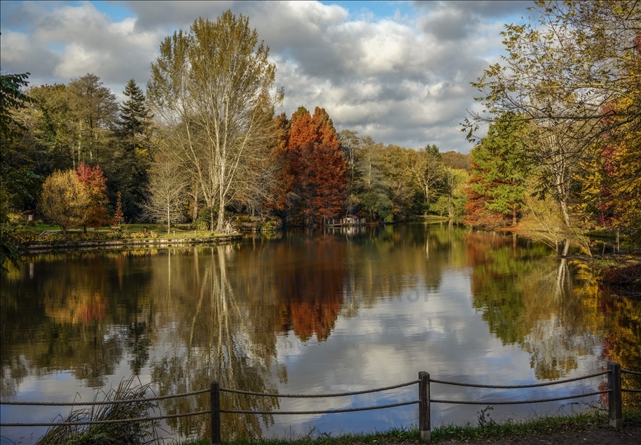 Ataturk Arboretum with fall foliage in Istanbul