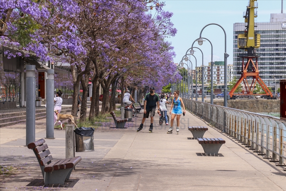 Pemandangan kota Buenos Aires dipenuhi pohon Jacaranda