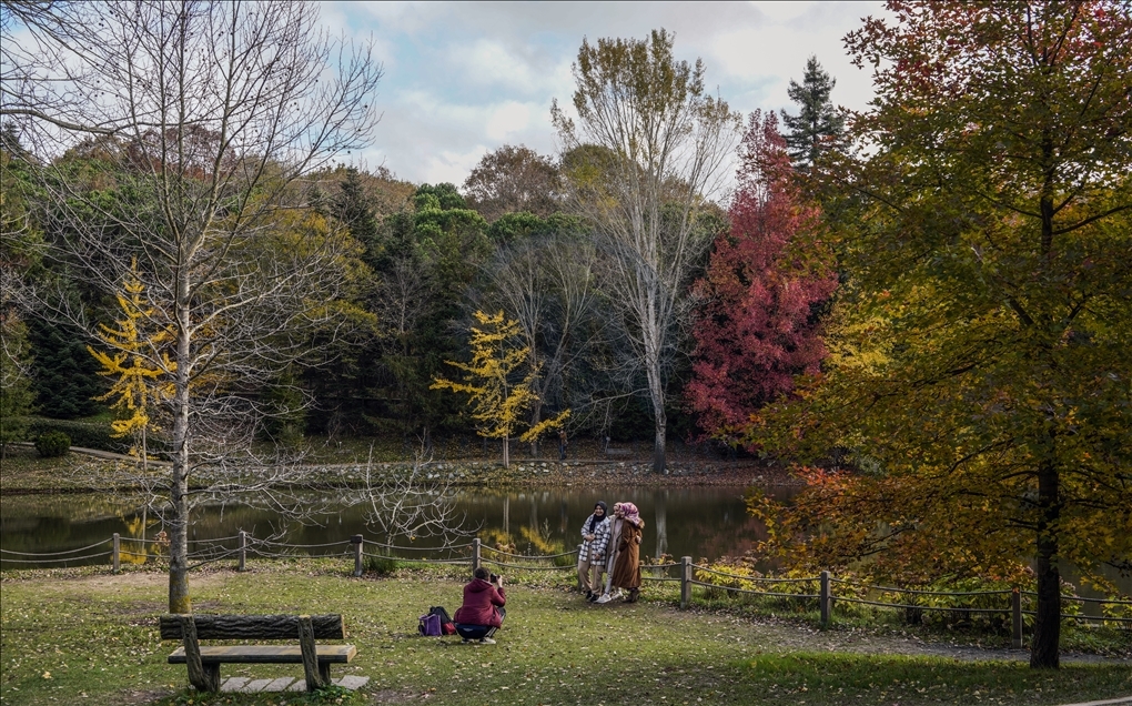 Ataturk Arboretum with fall foliage in Istanbul