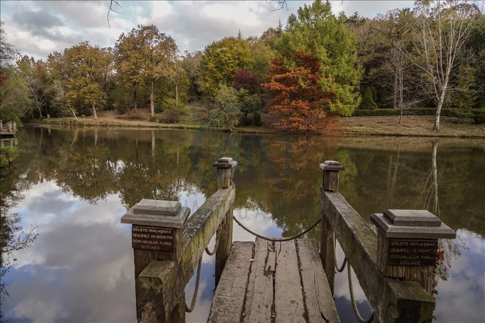 Ataturk Arboretum with fall foliage in Istanbul