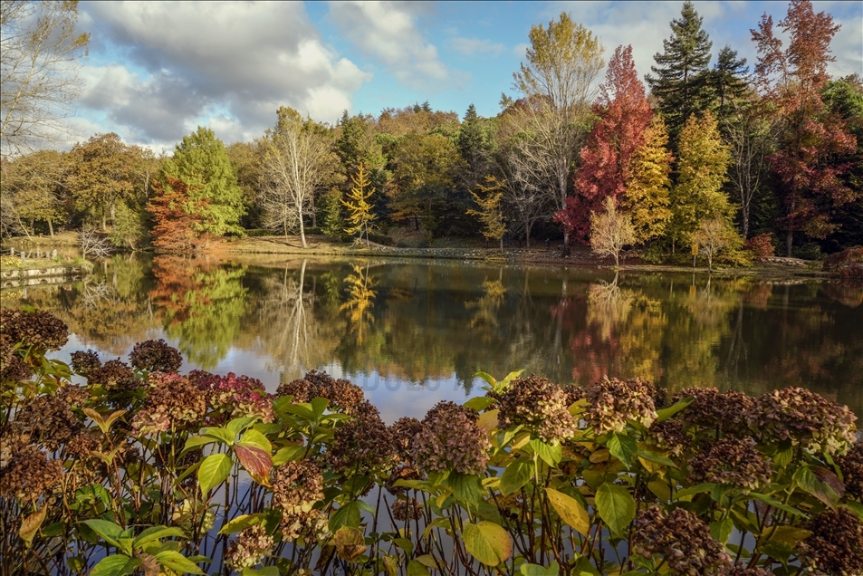Ataturk Arboretum with fall foliage in Istanbul