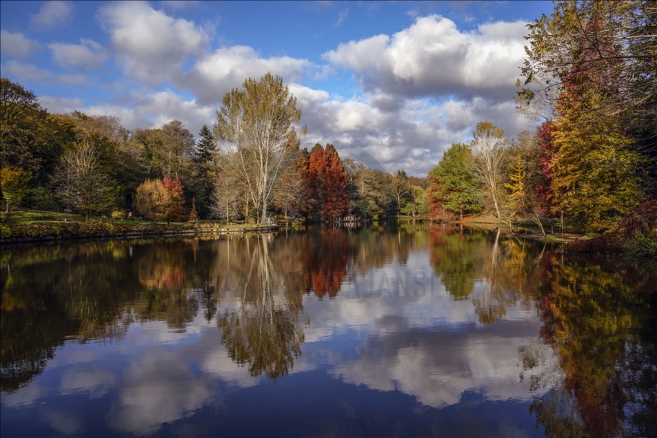 Ataturk Arboretum with fall foliage in Istanbul