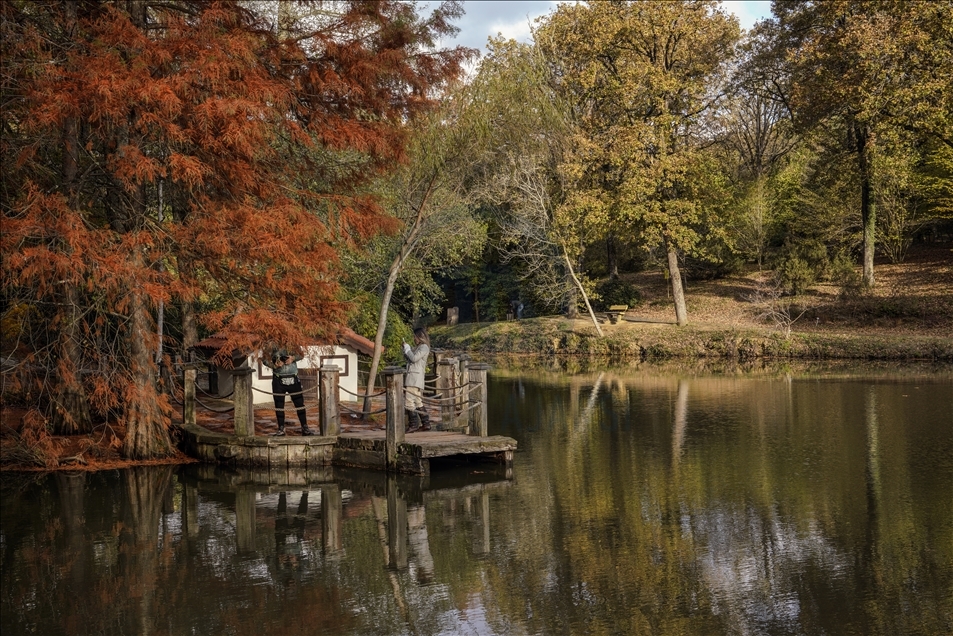 Ataturk Arboretum with fall foliage in Istanbul