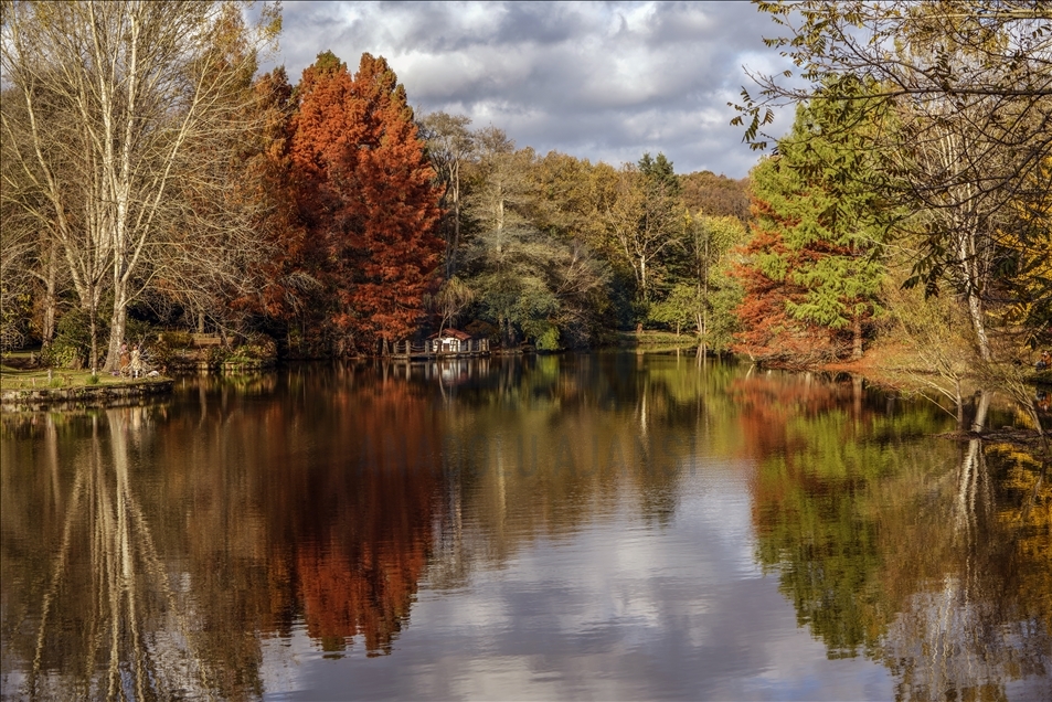 Ataturk Arboretum with fall foliage in Istanbul