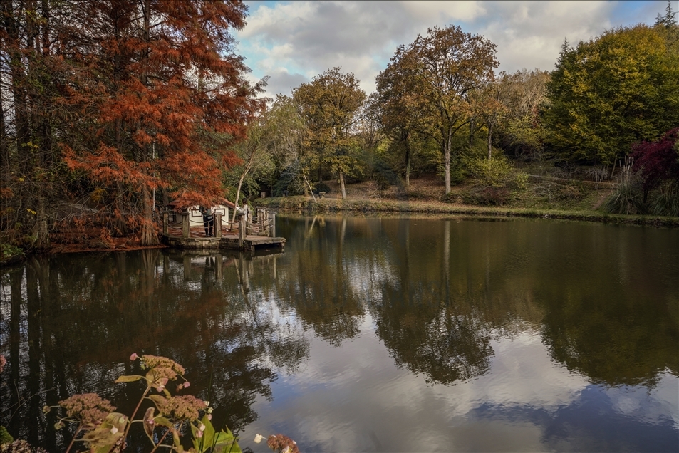 Ataturk Arboretum with fall foliage in Istanbul - Anadolu Ajansı