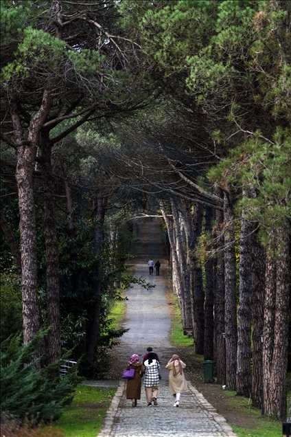 Ataturk Arboretum with fall foliage in Istanbul