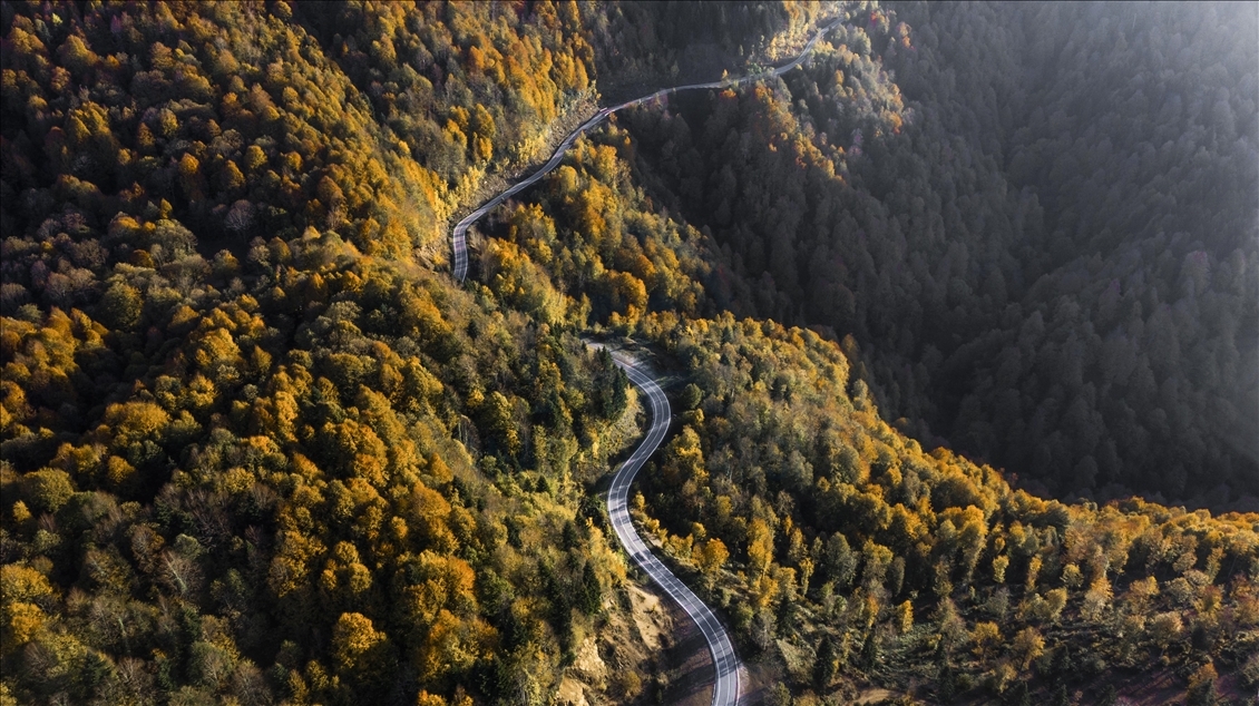 کوه چام؛ قطب گردشگری پاییزی ساکاریا