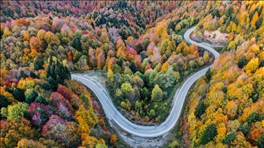 کوه چام؛ قطب گردشگری پاییزی ساکاریا