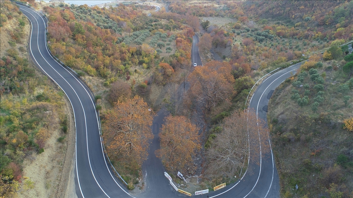 Drone photos show fascinating colors of Ganos Forest in northwest Turkey