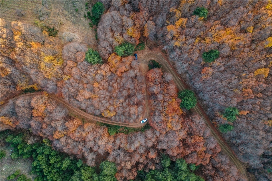 Autumn in Turkey's Uludag