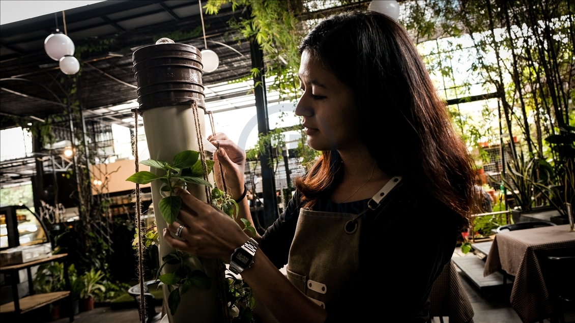 Dampak ekonomi akibat virus buat warga Malaysia beralih jadi petani kota