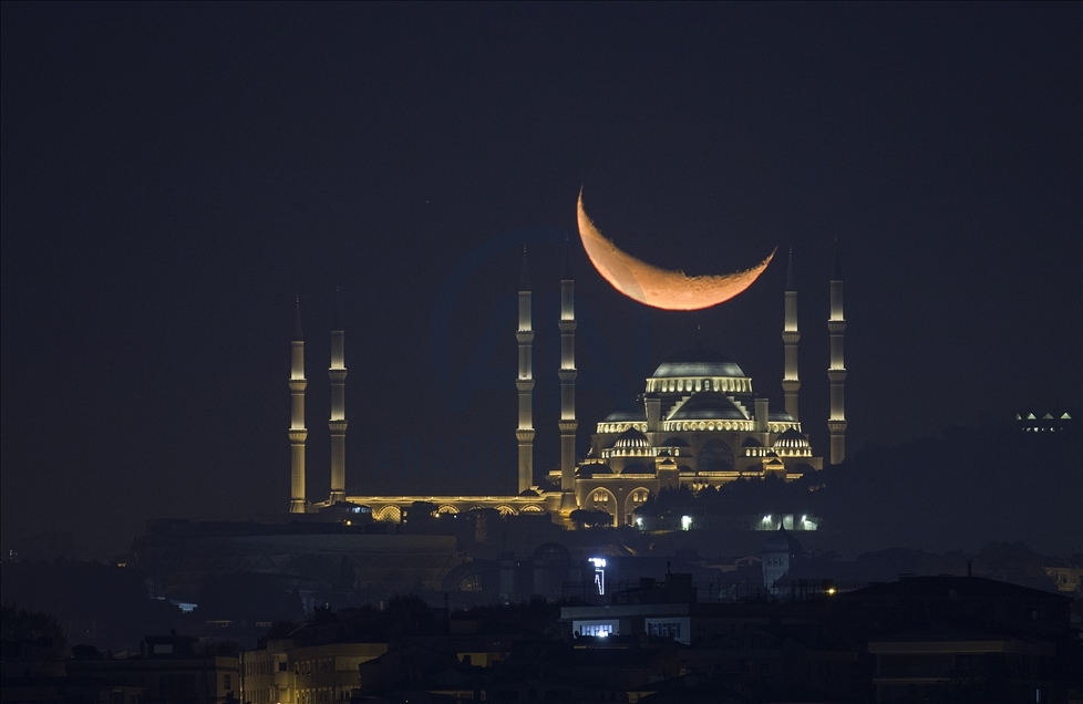 AA'nın geleneksel "Yılın Fotoğrafları" oylaması başladı