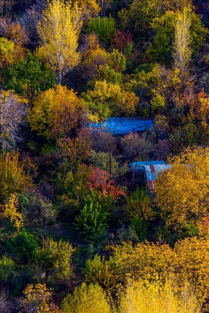 Pemandangan di Elazig, Turki saat musim gugur