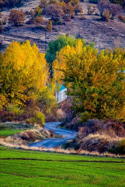 Pemandangan di Elazig, Turki saat musim gugur