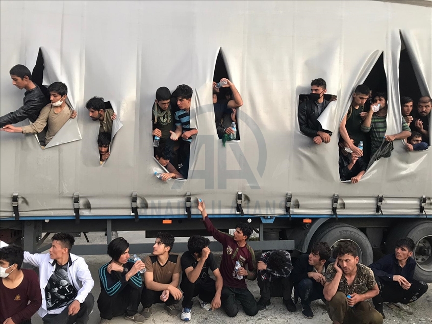 AA'nın geleneksel "Yılın Fotoğrafları" oylaması başladı