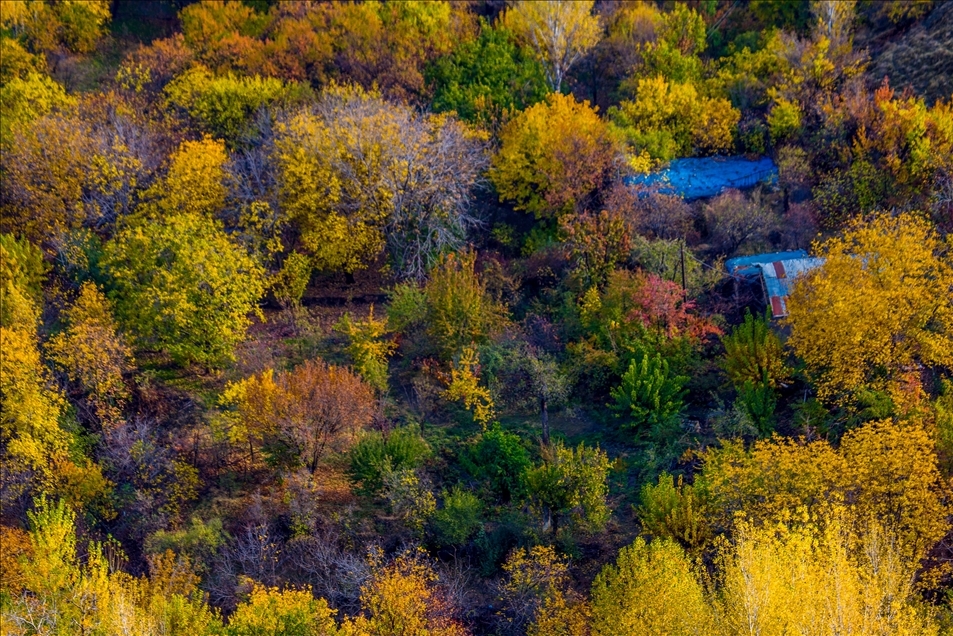 Pemandangan di Elazig, Turki saat musim gugur