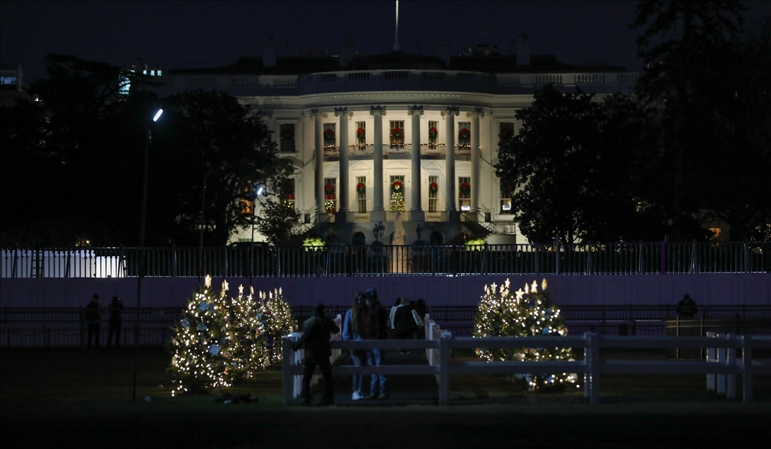 White House Christmas Tree Light
