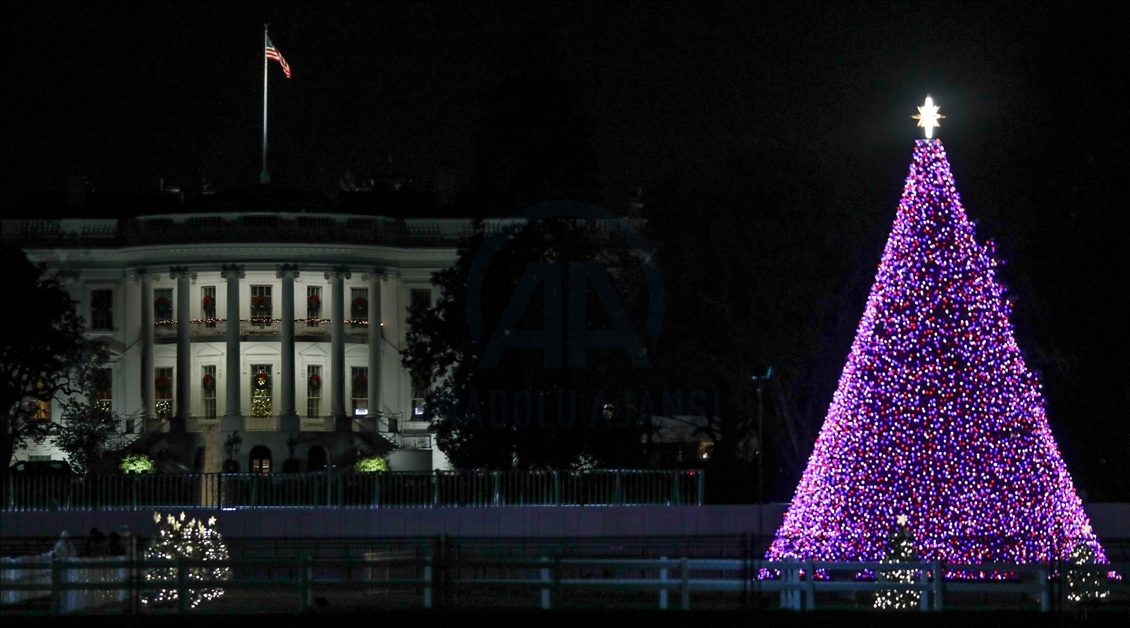 White House Christmas Tree Light