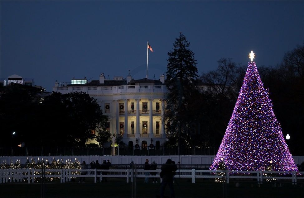 White House Christmas Tree Light Anadolu Agency