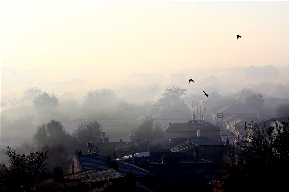 Konya'da yoğun sis etkili oluyor