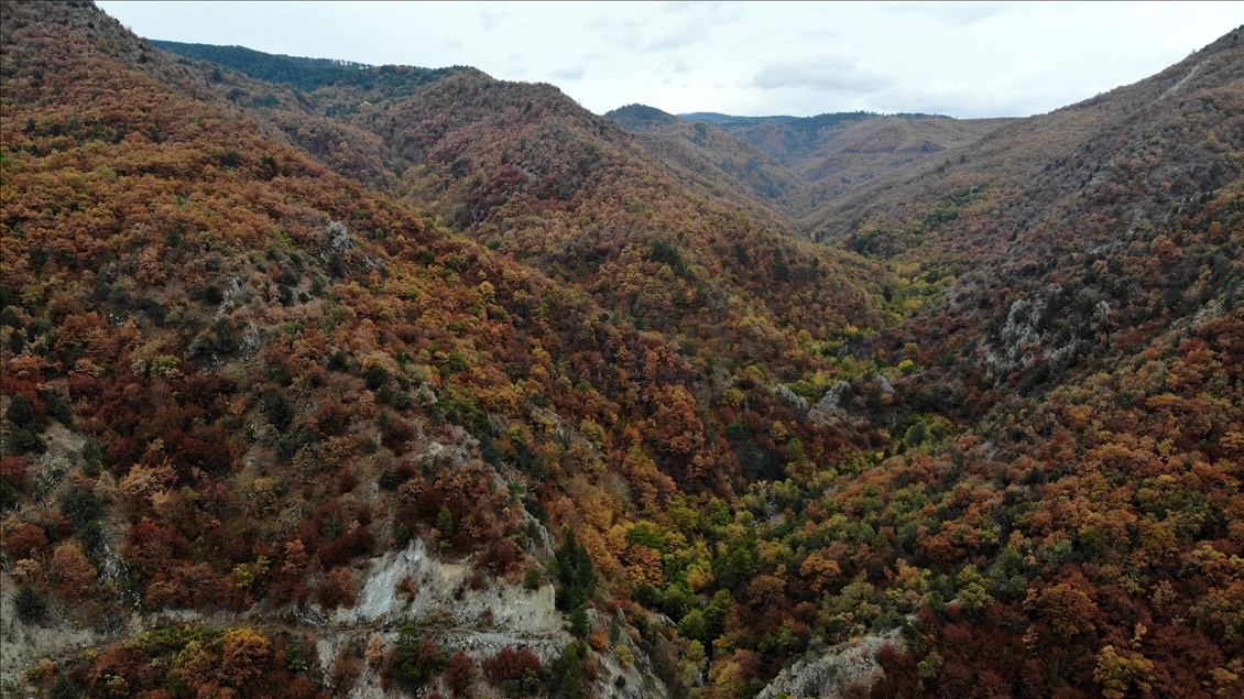Kastamonu'da Gürleyik Şelalesi hazan renkleriyle görsel şölen sunuyor
